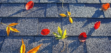 Various leave colors on shingle roof